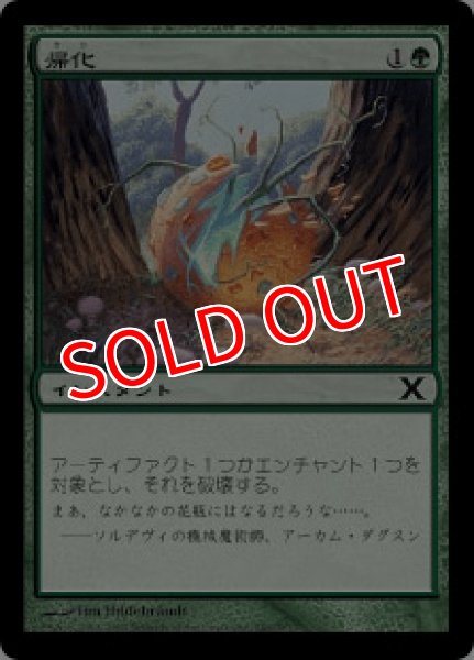 画像1: 【10E】《帰化/Naturalize》【C】 (1)