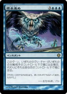 LCI)骨集めのドラコサウルス(F)/BONEHOARD DRACOSAUR | (FOIL