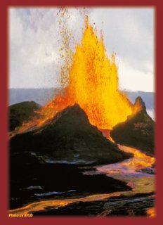 サプライ 【倉庫在庫】ブロッコリー ハイブリッドスリーブ 「風林火山