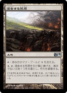 N*1様 MTG ラノワールの荒原　FOIL MTG パイオニア 【ORI】※Foil※《ラノワールの荒原/Llanowar Wastes》【R】