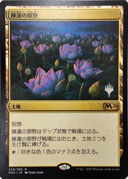 画像1: 【プロモパックPR/M20】 《睡蓮の原野/Lotus Field》【R】 (1)