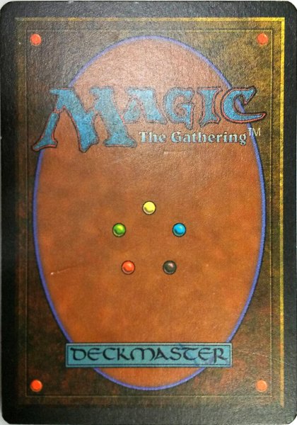 画像2:  ※傷あり SALE品※ 【HML】《Winter Sky》【R】(#4388) (2)