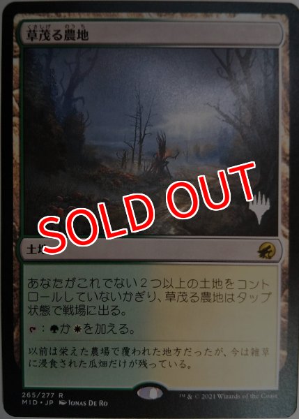 画像1: 【プロモパックPR/MID】 《草茂る農地/Overgrown Farmland》【R】 (1)