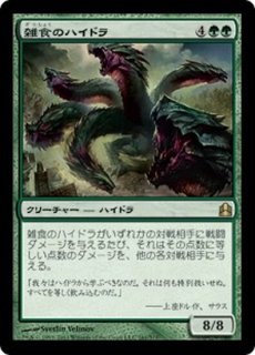 MTG FDN ファウンデーションズ 苔生まれのハイドラ foil 日本語 4枚 カード詳細：苔生まれのハイドラ