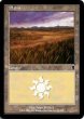 画像3: 【ODY】※Foil※《平地/Plains》【L】 (3)