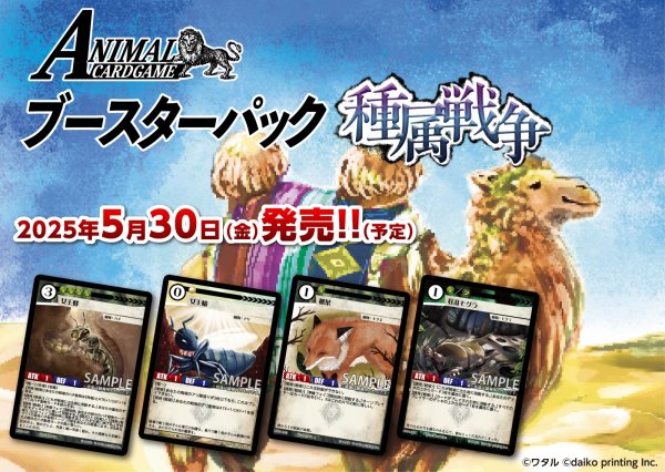 画像1:  【再販予約商品】  アニマルカードゲーム 1弾ブースターパック 「種属戦争」 BOX（18パック入り） 【25年8月上旬再販】 (1)