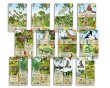 画像2:  【予約商品】  カードゲーム「フォレストシャッフル」拡張セット 「フォレストシャッフル：林縁」日本語版 【25年6月上旬発売】 (2)