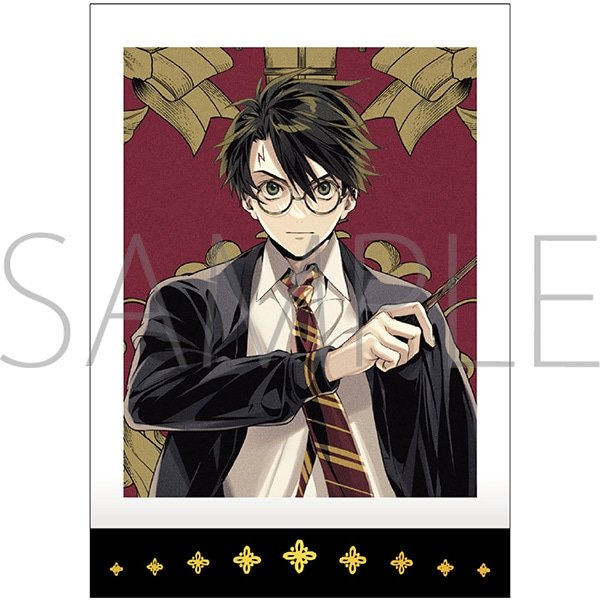 画像1:  【予約商品】  「ハリーポッター（原作版）」　ぱしゃこれ(イラスト) ／vol.2 BOX（10パック入り） 【25年7月19日発売】 (1)
