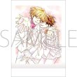 画像1:  【予約商品】  桜蘭高校ホスト部　ぱしゃこれ BOX（10パック入り） 【25年7月26日発売】 (1)