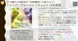 画像2:  【予約商品】  リビング・フォレスト：デュエル 日本語版 【25年6月20日発売】 (2)