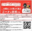 画像2:  【予約商品】  ・・・の隣の、こう見えて実はニートの野尻です 【25年7月中旬入荷】（発売済み商品です） (2)
