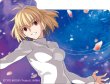 画像4:  【予約商品】  キャラクターデッキケースMAX NEO　MELTY BLOOD: TYPE LUMINA「アルクェイド」 【25年9月27日発売】 (4)