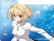 画像3:  【予約商品】  キャラクターデッキケースMAX NEO　MELTY BLOOD: TYPE LUMINA「アルクェイド」 【25年9月27日発売】 (3)