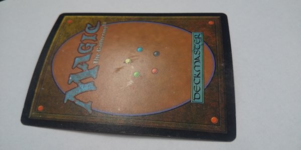 画像4:  ※傷あり SALE品※ 【MMQ】※FOIL※《死者への敬意/Honor the Fallen》【R】(#5006) (4)