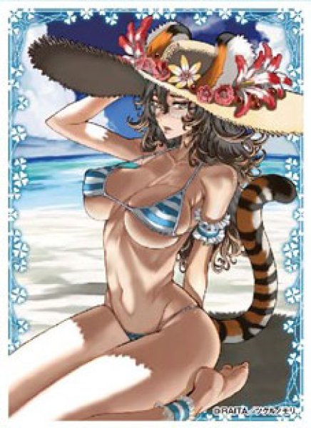 画像1:  【倉庫在庫】 キャラクタースリーブ クリエイターズコレクション RAITA(EN-075) (1)