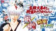 画像5:  【予約商品】  集英社ゲームズ　銀魂 将軍だーれだ 【25年12月20日発売】 (5)