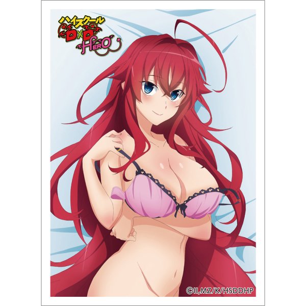 画像1:  【予約商品】  カーテン魂　ハイスクールD×D HERO スリーブ（リアス・グレモリー）（65枚入り） 【26年2月上旬発売】 (1)