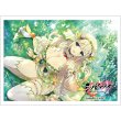 画像1:  【予約商品】  カーテン魂　シノビマスター 閃乱カグラ NEW LINK スリーブ（詠／新乳祭）（65枚入り） 【26年2月上旬発売】 (1)