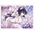 画像1:  【予約商品】  カーテン魂　シノビマスター 閃乱カグラ NEW LINK スリーブ（雪不帰／新乳祭・弐）（65枚入り） 【26年2月上旬発売】 (1)