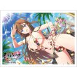 画像1:  【予約商品】  カーテン魂　シノビマスター 閃乱カグラ NEW LINK スリーブ（鴇／人気投票新乳祭）（65枚入り） 【26年2月上旬発売】 (1)