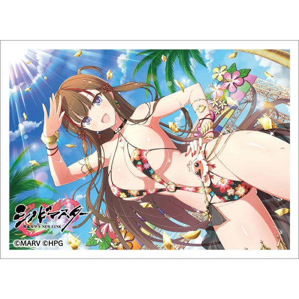 画像1:  【予約商品】  カーテン魂　シノビマスター 閃乱カグラ NEW LINK スリーブ（鴇／人気投票新乳祭）（65枚入り） 【26年2月上旬発売】 (1)