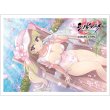 画像1:  【予約商品】  カーテン魂　シノビマスター 閃乱カグラ NEW LINK スリーブ（華風流／盛・伝説爆乳祭・弐）（65枚入り） 【26年2月上旬発売】 (1)