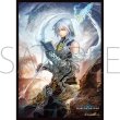 画像1:  【予約商品】  きゃらスリーブコレクション マットシリーズ　Shadowverse: Worlds Beyond　「颶風の天業・グリームニル」(No.MT2229)（65枚入り） 【25年12月12日発売】 (1)