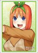 画像1:  【予約商品】  ブシロード スリーブコレクション ハイグレード Vol.4959　五等分の花嫁『中野四葉』Part.8（75枚入り） 【26年2月6日発売】 (1)