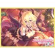 画像1:  【予約商品】  きゃらスリーブコレクション マットシリーズ　プリンセスコネクト！Re:Dive　ライラエル（クリスマス）(No.MT2208)（65枚入り） 【25年12月26日発売】 (1)