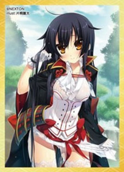 画像1:  【倉庫在庫】 NEXTONガールズスリーブコレクション Vol.015 戦国†恋姫「久遠」（60枚入り） (1)