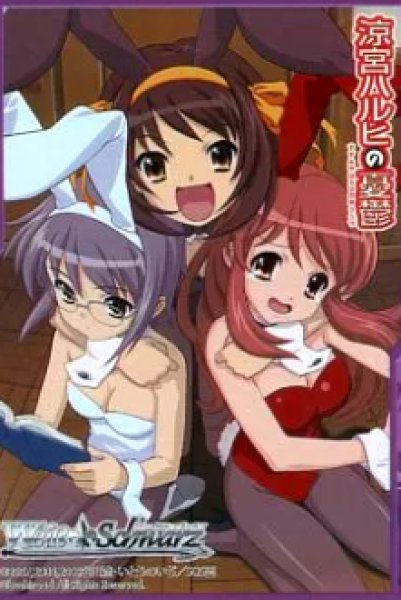 画像1:  【倉庫在庫】 ヴァイスシュヴァルツ 「涼宮ハルヒの憂鬱」 BOX封入特典スリーブ『ハルヒ＆長門＆みくる』(5枚入り) (1)