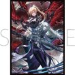 画像1:  【予約商品】  きゃらスリーブコレクション マットシリーズ　Shadowverse: Worlds Beyond　「絶叫と愛絶の顕現・ルルナイ＆ヴァーナレク」(No.MT2234)（65枚入り） 【26年1月23日発売】 (1)