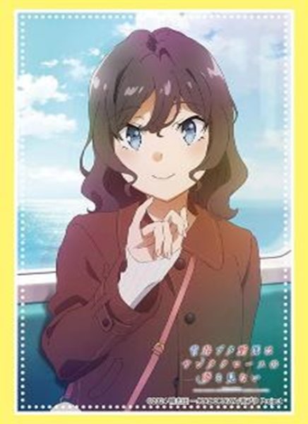 画像1:  【予約商品】  ブシロード スリーブコレクション ハイグレード Vol.5094　青春ブタ野郎はサンタクロースの夢を見ない『姫路紗良』（75枚入り） 【26年3月27日発売】    (1)