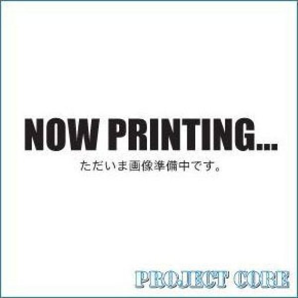 画像1:  【予約商品】  フライドポテトを 漢字１字にすると 【26年2月下旬発売】 (1)