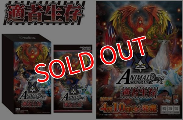 画像1:  【予約商品】  アニマルカードゲーム 4弾ブースターパック  「適者生存」 BOX（18パック入り） 【26年4月10日発売】 (1)