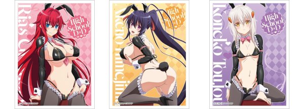 画像2:  【予約商品】  カーテン魂　ハイスクールD×D HERO　描き下ろしスリーブ（姫島朱乃／逆バニー（黒））（65枚入り） 【26年5月下旬発売】 (2)