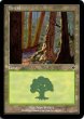 画像4: ※特価※【INV】※Foil※《森/Forest》【L】 (4)