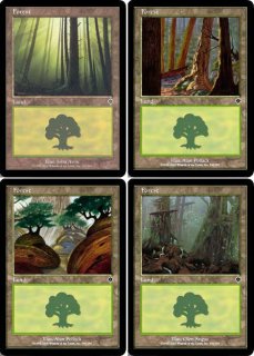 MTG カープルーザンの森 Foil 2枚セット 英語 9版1 10版1 EX