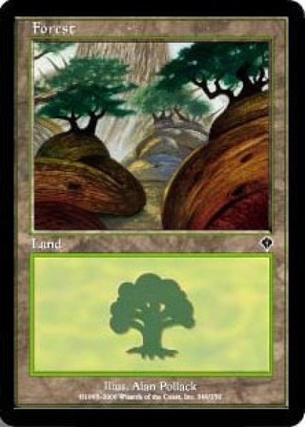 画像5: ※特価※【INV】※Foil※《森/Forest》【L】 (5)