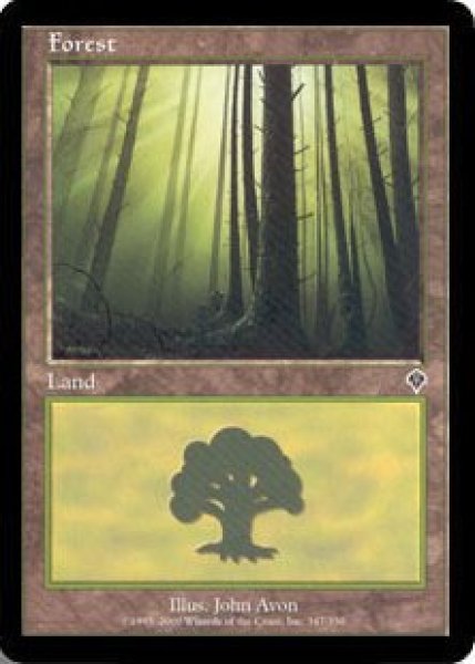 画像3: ※特価※【INV】※Foil※《森/Forest》【L】 (3)