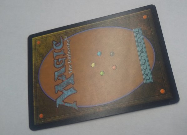 画像3:  ※傷あり SALE品※ 【AVR】《霧虚ろのグリフィン/Misthollow Griffin》【M】(#5013) (3)