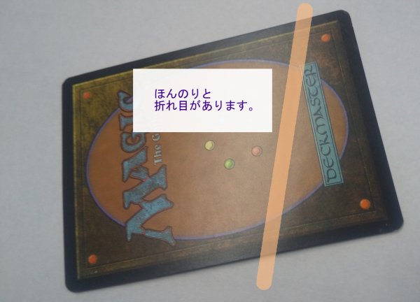 画像4:  ※傷あり SALE品※ 【AVR】《霧虚ろのグリフィン/Misthollow Griffin》【M】(#5013) (4)