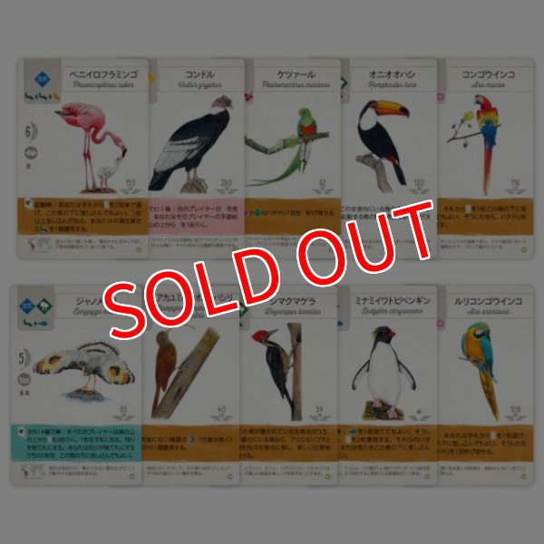 画像2:  【予約商品】  ウイングスパン拡張：中南米の翼 【26年4月10日発売】 (2)