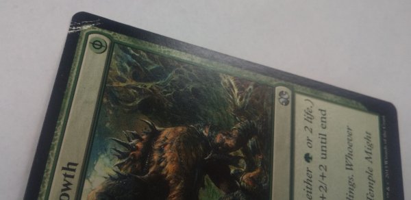 画像3:  ※傷あり SALE品※ 【MM2】《変異原性の成長/Mutagenic Growth》【U】(#5019) (3)