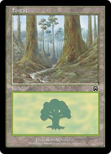 画像5: ※特価※【MMQ】※FOIL※《森/Forest》【C】 (5)
