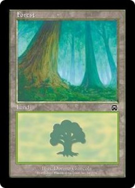 画像3: ※特価※【MMQ】※FOIL※《森/Forest》【C】 (3)