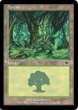画像4: ※特価※【ONS】※FOIL※《森/Forest》【C】 (4)