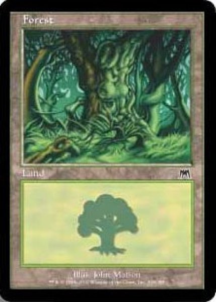 画像4: ※特価※【ONS】※FOIL※《森/Forest》【C】 (4)