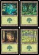 画像1: ※特価※【ONS】※FOIL※《森/Forest》【C】 (1)