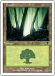 画像5: ※特価※【7ED】※FOIL※《森/Forest》【C】 (5)